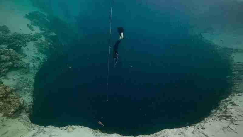 The Reason We Can’t Truly Explore the Ocean | Even Scientists Can’t Explain It All

Explore the fascinating challenges humans face when exploring the deepest places on Earth, including the Mariana Tre - Digital concept art for illustrative purpose, tags: van de tot - Monok