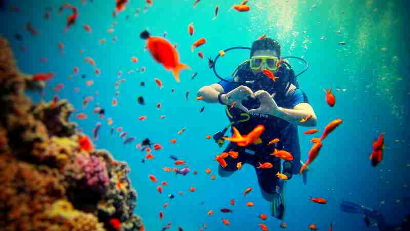 Diver surrounded by colorful fish and coral reef, capturing underwater adventure., tags: de van - pexel